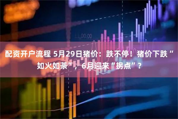 配资开户流程 5月29日猪价：跌不停！猪价下跌“如火如荼”，6月迎来“拐点”？